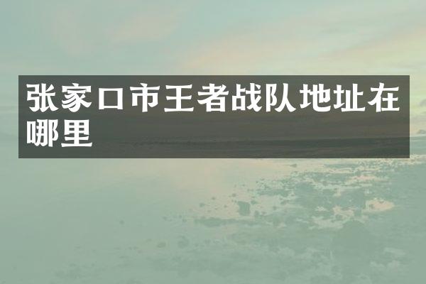 张家口市王者战队地址在哪里