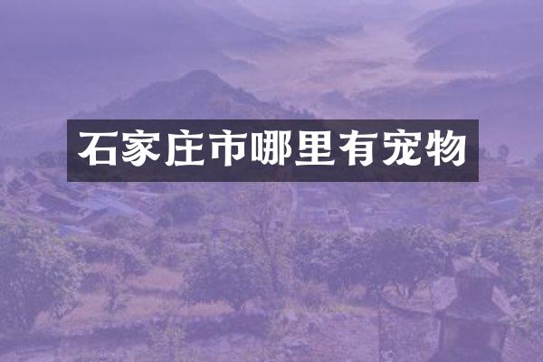 石家庄市哪里有宠物