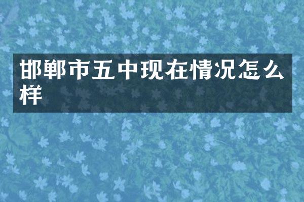 邯郸市五中现在情况怎么样