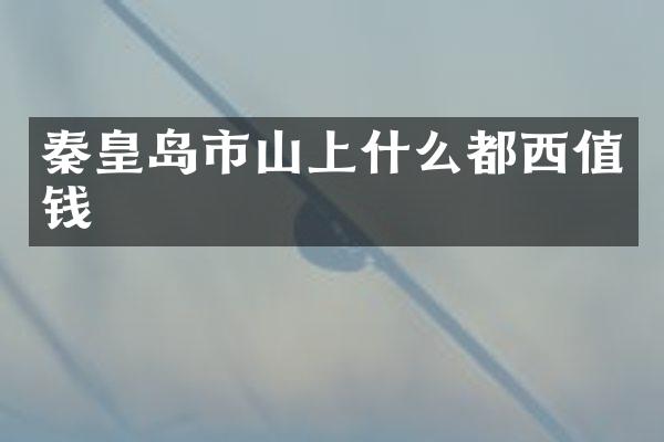秦皇岛市山上什么都西值钱