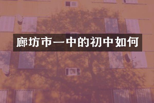 廊坊市一中的初中如何