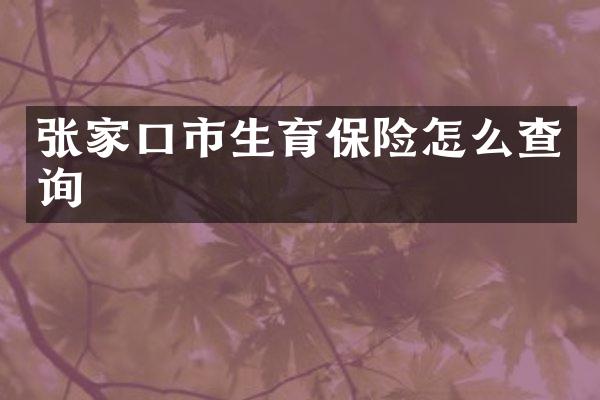 张家口市生育保险怎么查询