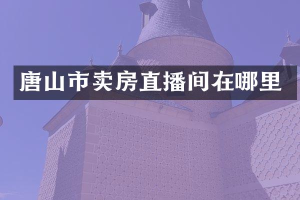唐山市卖房直播间在哪里