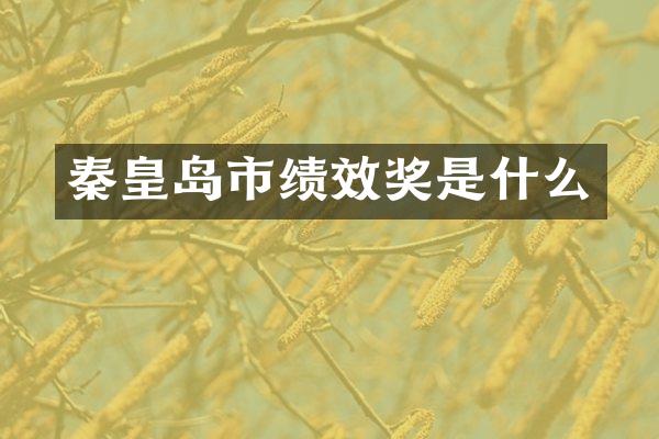 秦皇岛市绩效奖是什么