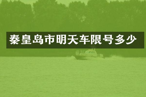 秦皇岛市明天车限号多少