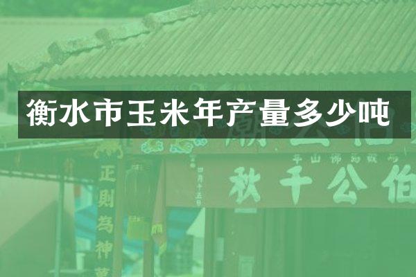 衡水市玉米年产量多少吨