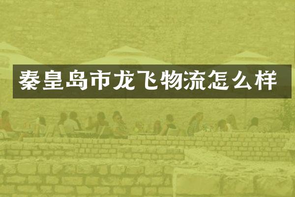 秦皇岛市龙飞物流怎么样