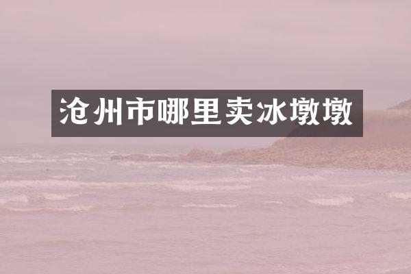 沧州市哪里卖冰墩墩