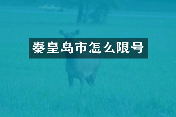 秦皇岛市怎么限号