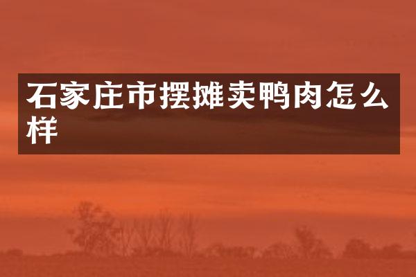 石家庄市摆摊卖鸭肉怎么样