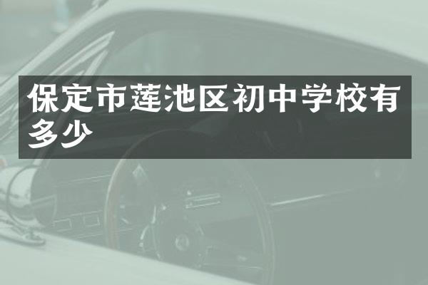 保定市莲池区初中学校有多少