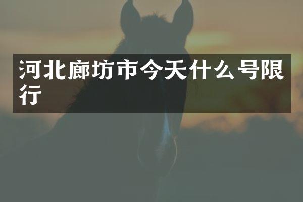 河北廊坊市今天什么号限行