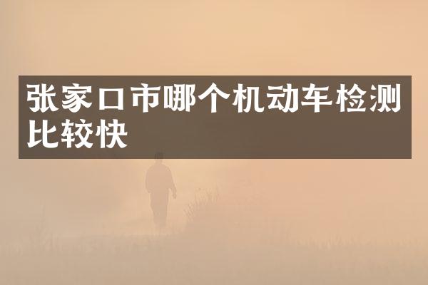 张家口市哪个机动车检测比较快