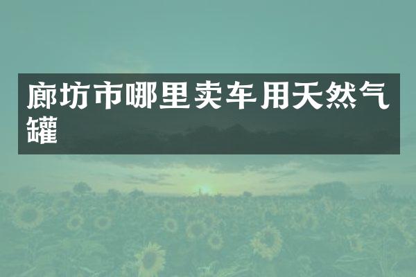 廊坊市哪里卖车用天然气罐