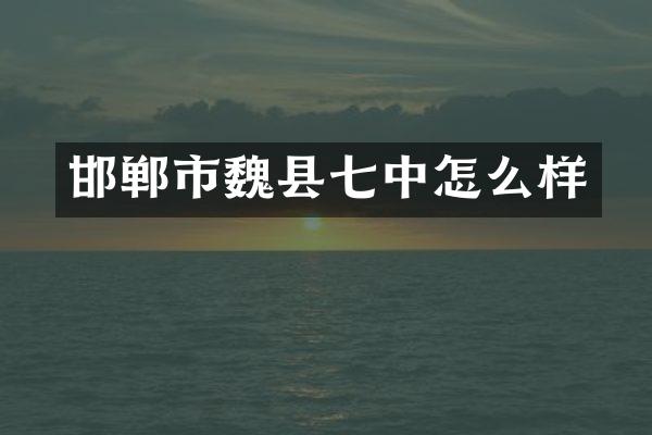 邯郸市魏县七中怎么样