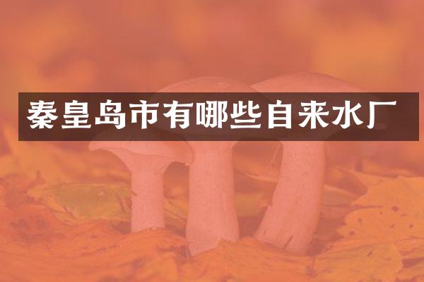 秦皇岛市有哪些自来水厂