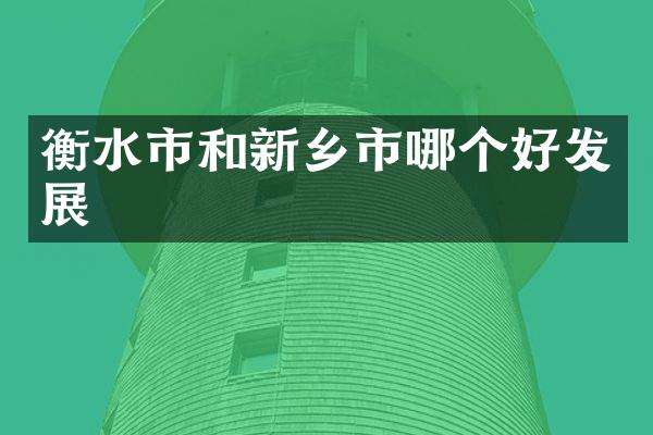 衡水市和新乡市哪个好发展