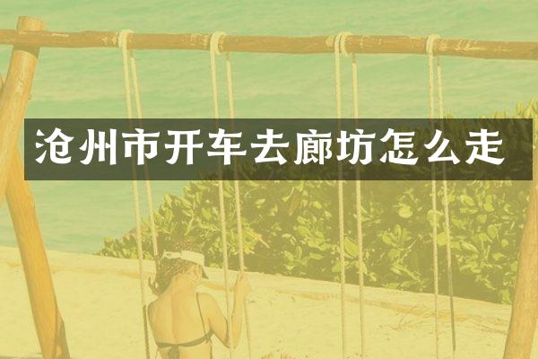 沧州市开车去廊坊怎么走