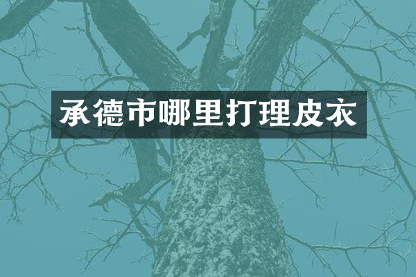 承德市哪里打理皮衣