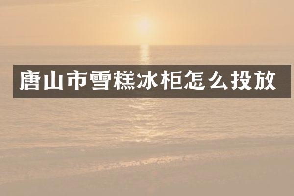 唐山市雪糕冰柜怎么投放