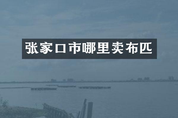 张家口市哪里卖布匹