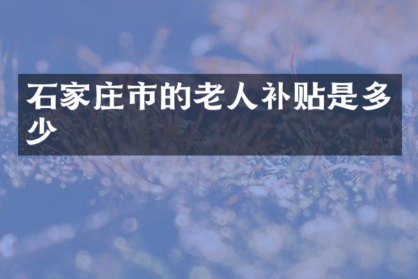 石家庄市的老人补贴是多少