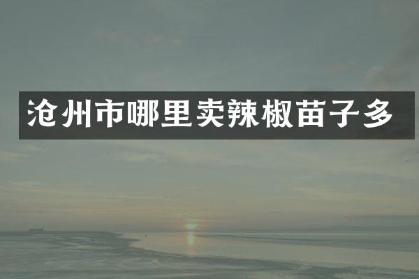 沧州市哪里卖辣椒苗子多