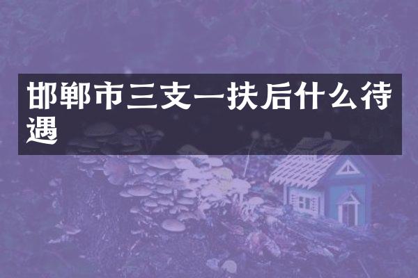 邯郸市三支一扶后什么待遇