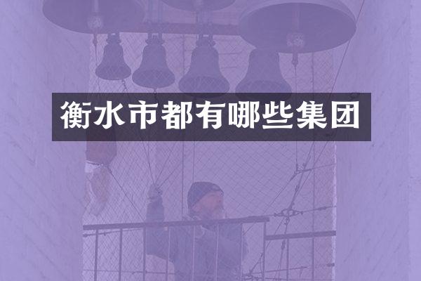 衡水市都有哪些集团