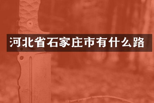 河北省石家庄市有什么路
