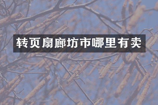 转页扇廊坊市哪里有卖
