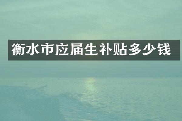 衡水市应届生补贴多少钱