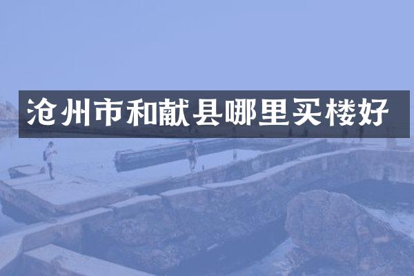 沧州市和献县哪里买楼好