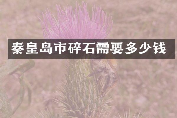 秦皇岛市碎石需要多少钱