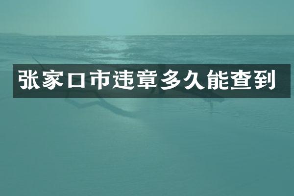 张家口市违章多久能查到