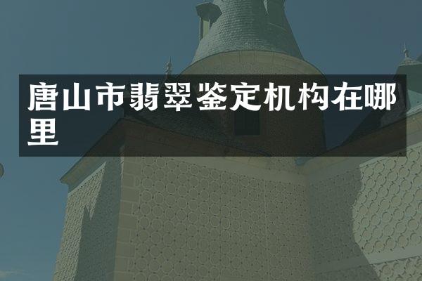 唐山市翡翠鉴定机构在哪里