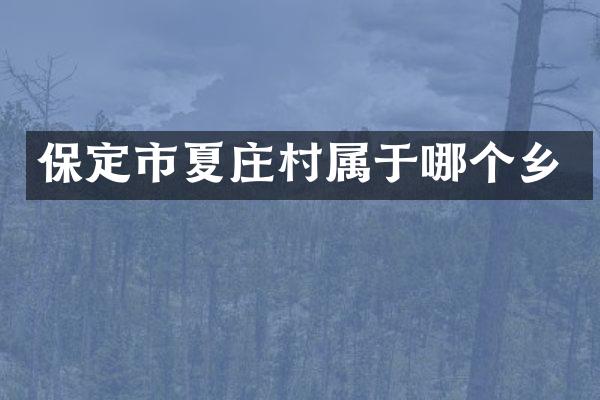 保定市夏庄村属于哪个乡
