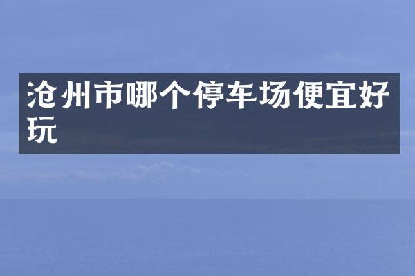沧州市哪个停车场便宜好玩