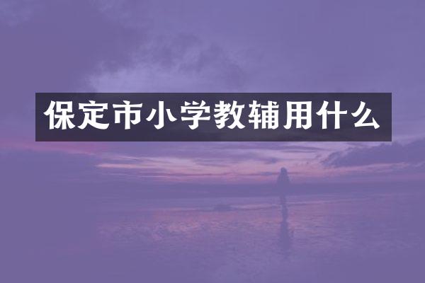 保定市小学教辅用什么