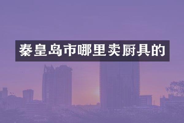 秦皇岛市哪里卖厨具的