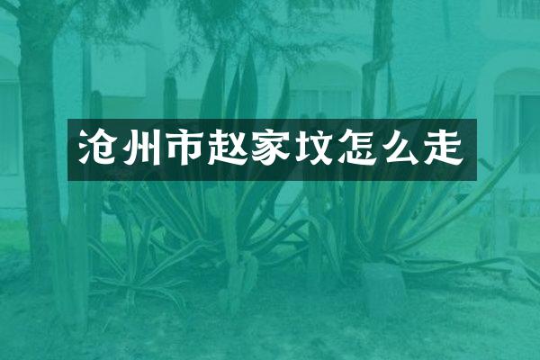 沧州市赵家坟怎么走