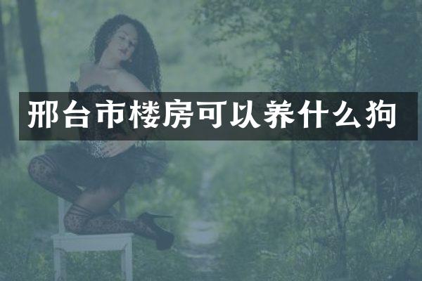 邢台市楼房可以养什么狗