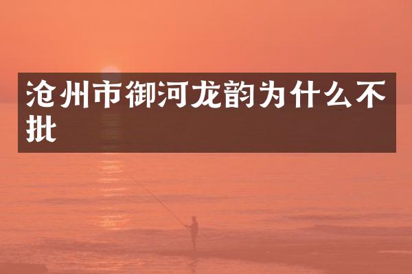 沧州市御河龙韵为什么不批