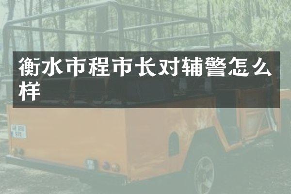 衡水市程市长对辅警怎么样