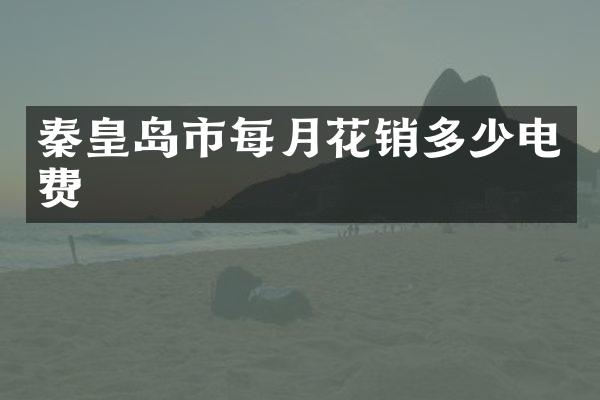 秦皇岛市每月花销多少电费
