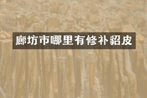 廊坊市哪里有修补貂皮