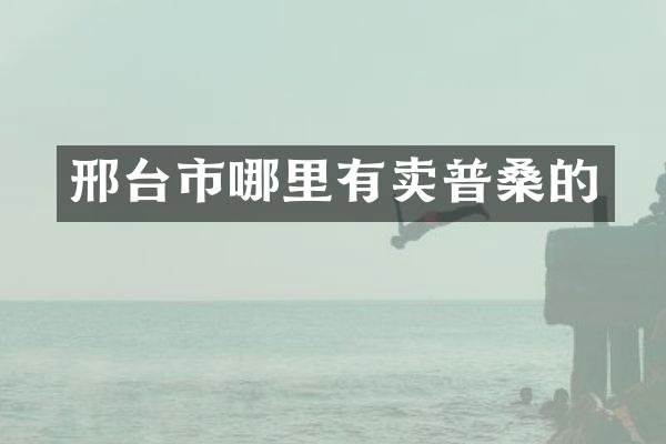 邢台市哪里有卖普桑的