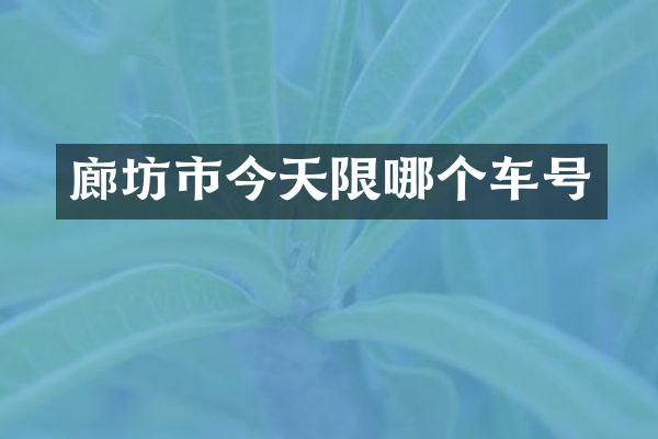 廊坊市今天限哪个车号