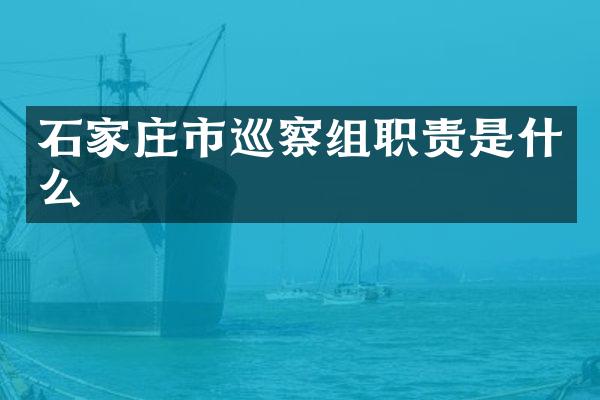 石家庄市巡察组职责是什么