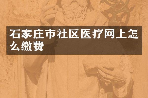 石家庄市社区医疗网上怎么缴费